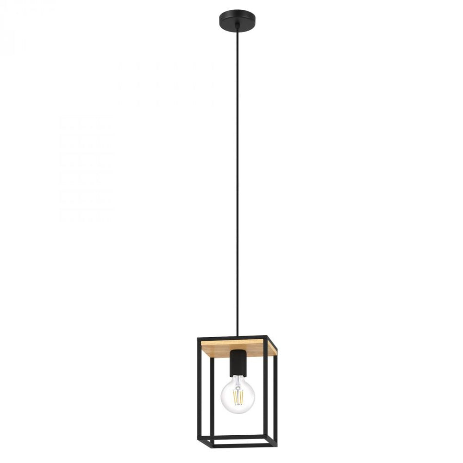 1L Pendant Light / Luminaire suspendu 1L