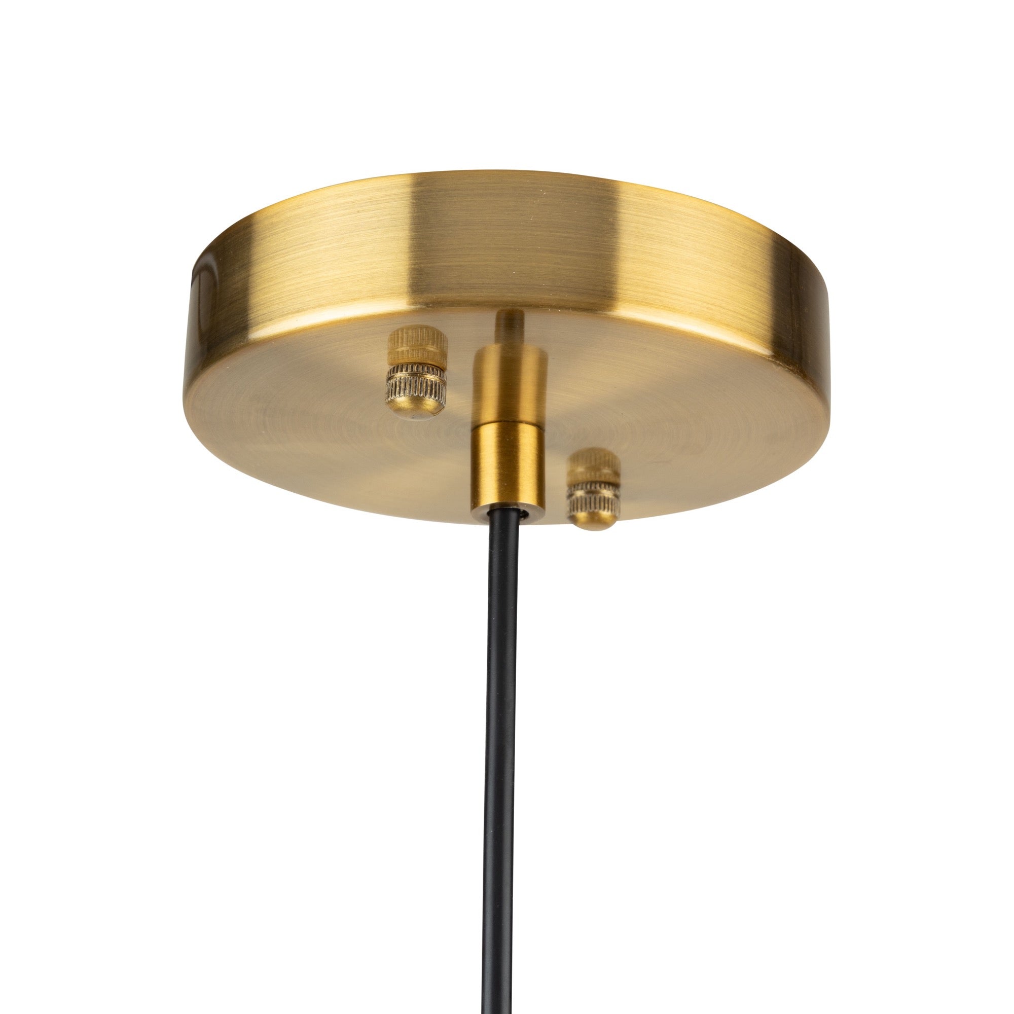 Vita Collection 1-Light Pendant White and Brass