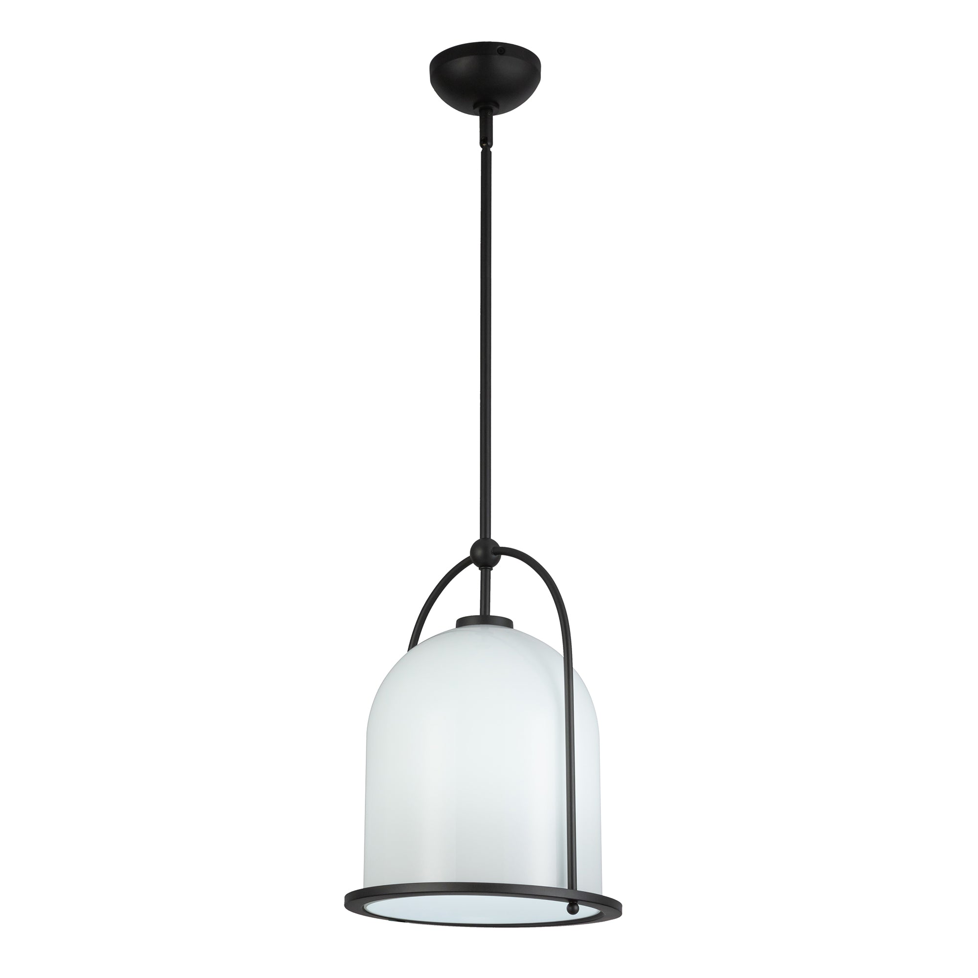 Dahlia 1 Light Pendant 11.5"