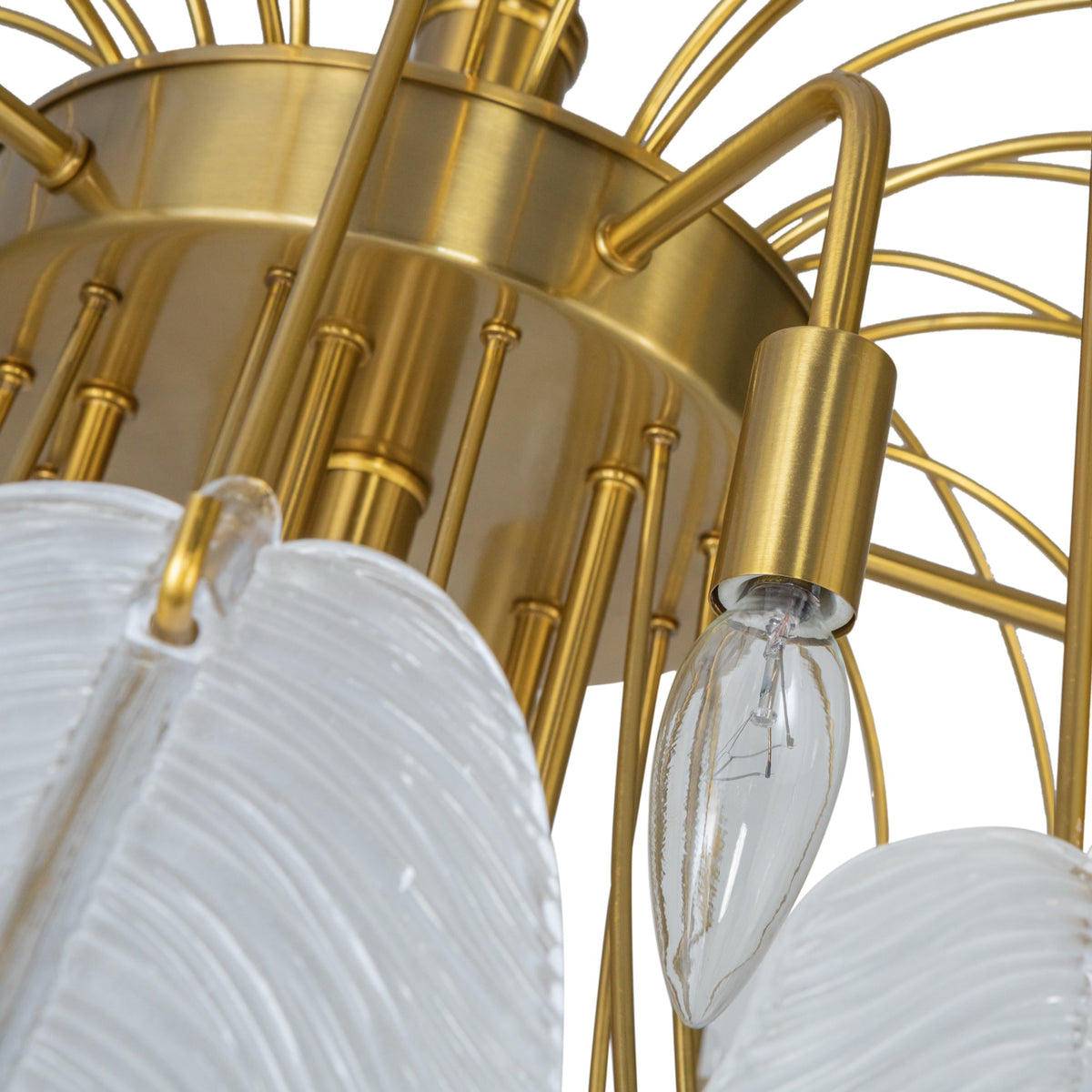 Alessia Collection 21-Light Chandelier Brushed Brass