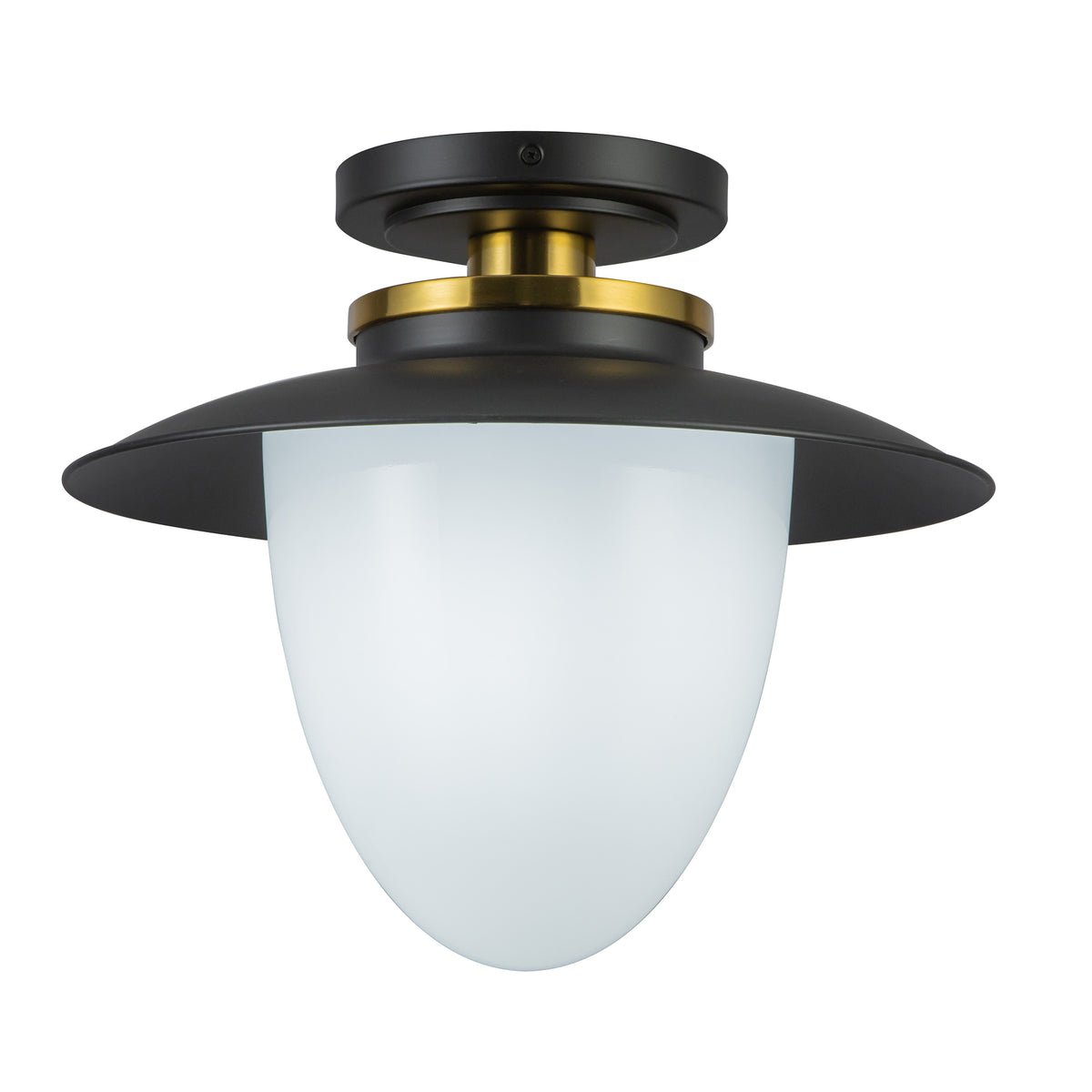 Dahlia 1 Light Pendant 15"