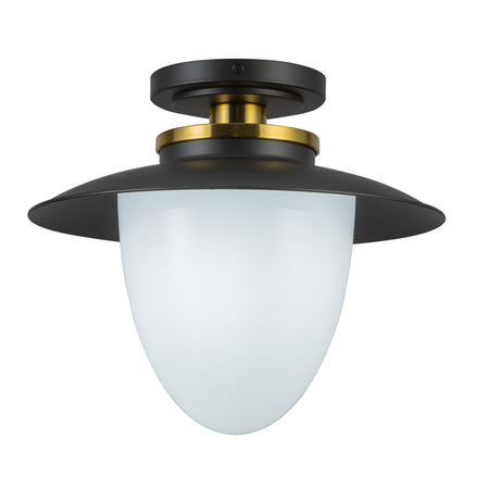 Dahlia 1 Light Pendant 15"