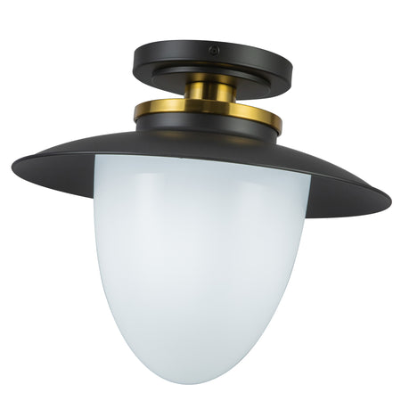 Dahlia 1 Light Pendant 15"