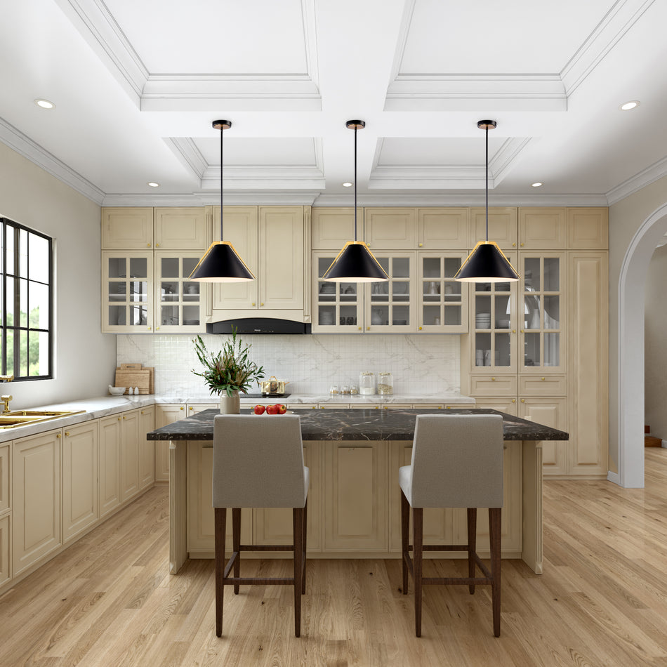 Baltic Collection 1-Light Pendant Black and Brushed Brass