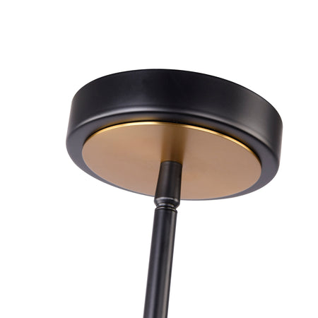 Baltic Collection 1-Light Pendant Black and Brushed Brass