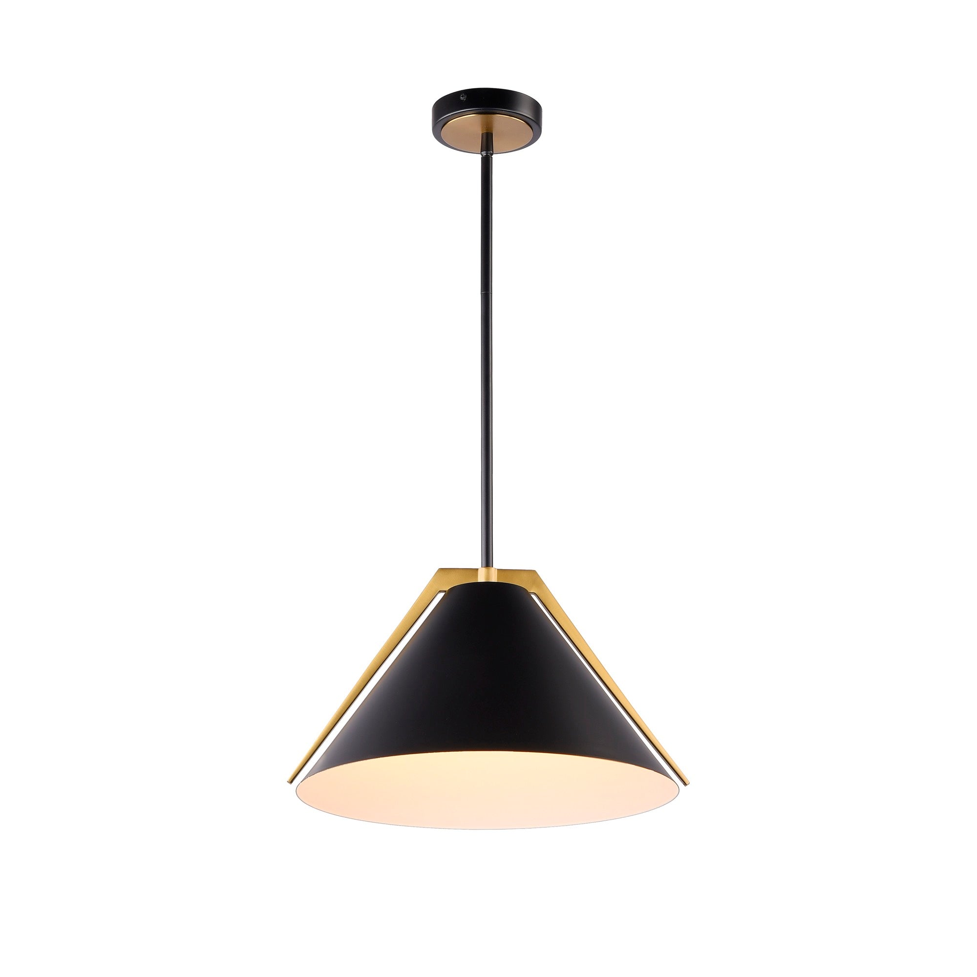Baltic Collection 1-Light Pendant Black and Brushed Brass