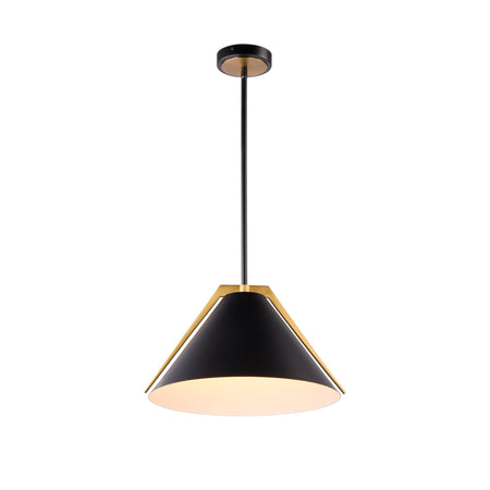 Baltic Collection 1-Light Pendant Black and Brushed Brass