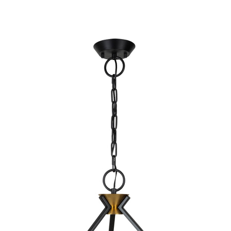 Notting Hill Collection 9-Light Chandelier Black and Brushed Brass