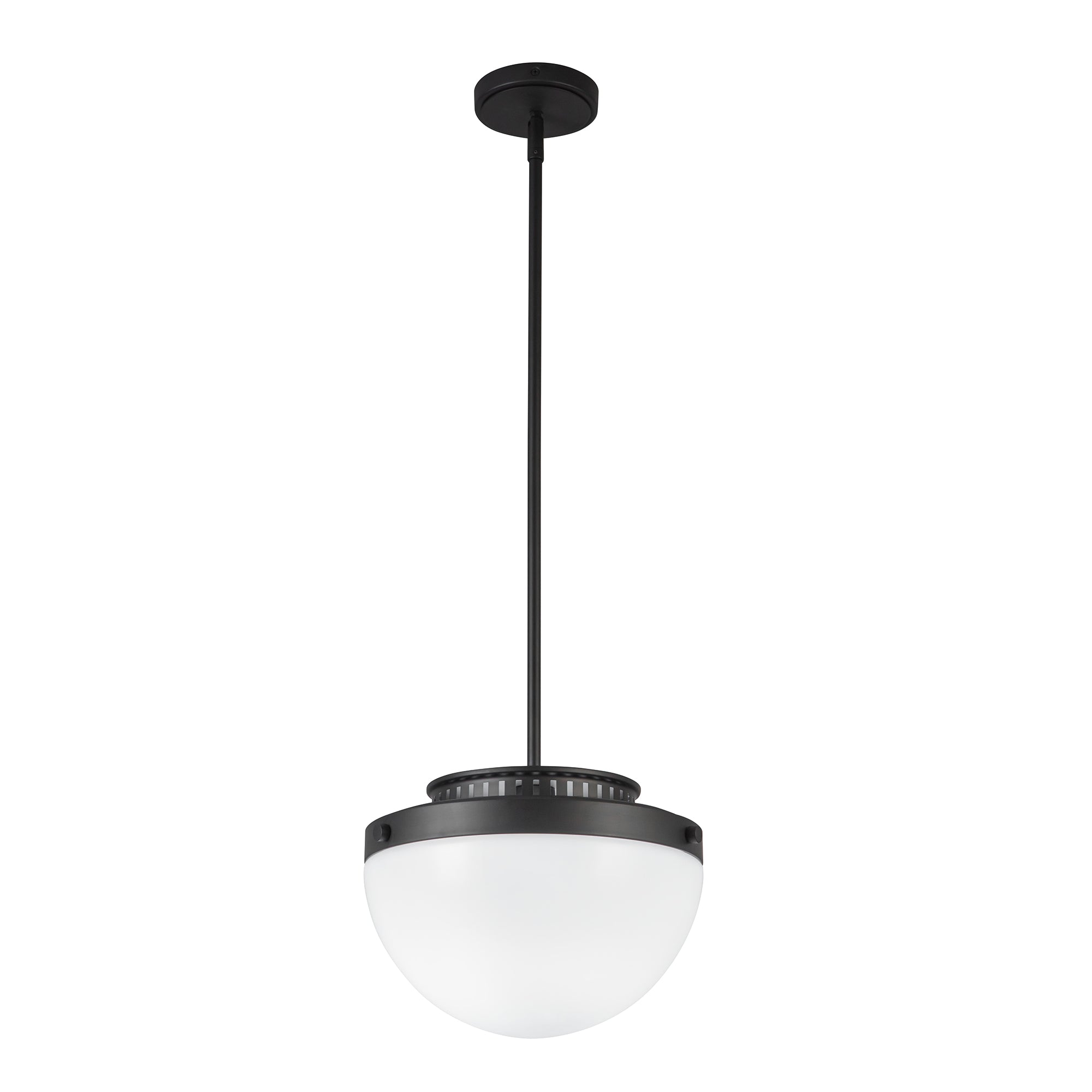 Dahlia 1 Light Pendant 12"