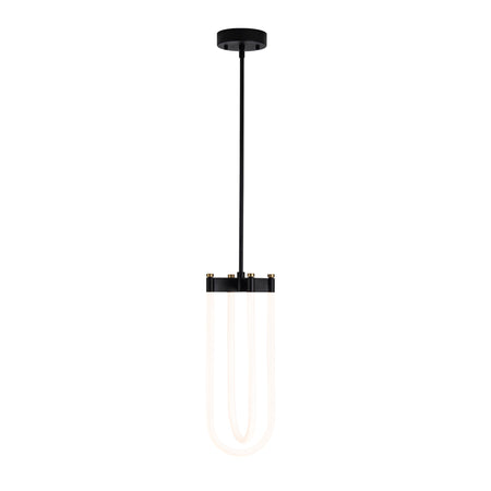 Cascata Collection 2-Light Pendant Black and Brushed Brass
