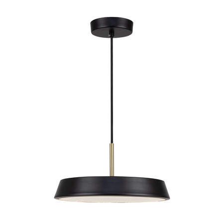 Lexi Collection 1-Light 12" Pendant Black