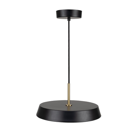 Lexi Collection 1-Light 12" Pendant Black