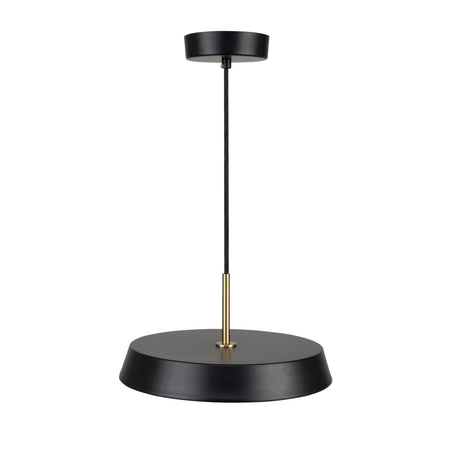 Lexi Collection 1-Light 16" Pendant Black
