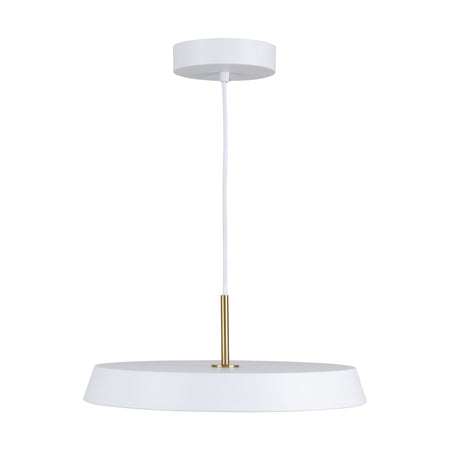 Lexi Collection 1-Light 16" Pendant White