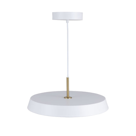Lexi Collection 1-Light 16" Pendant White