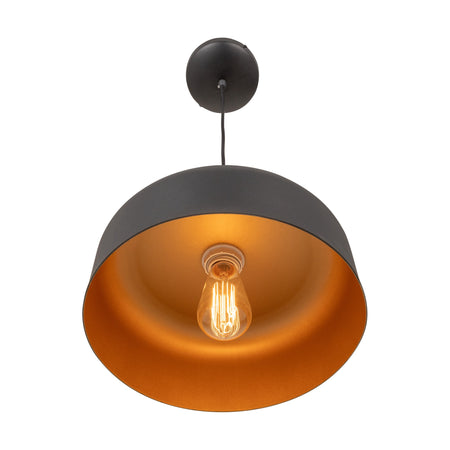 Orsa Collection 1-Light Pendant Black and Brushed Brass