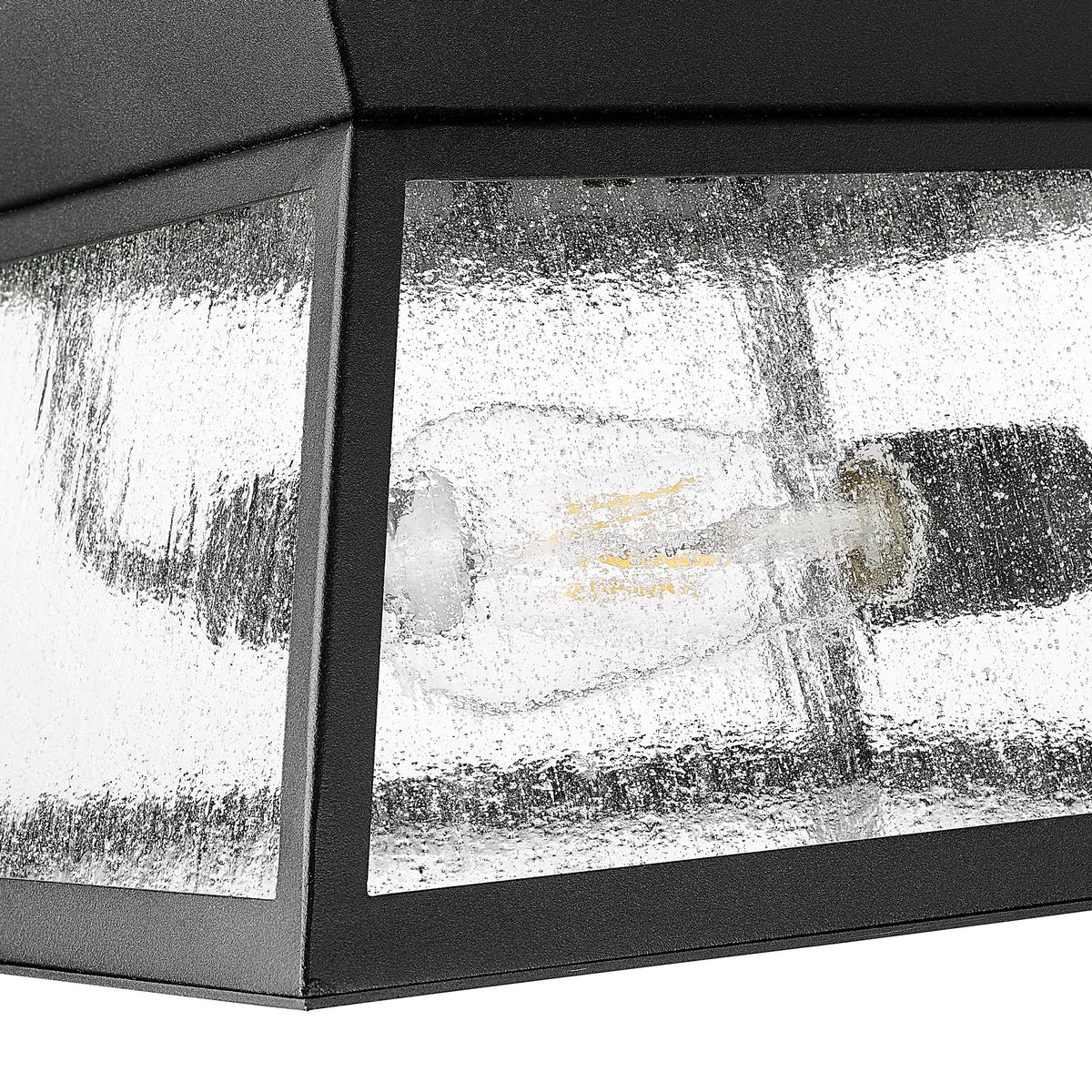 Lucian Collection 2-Light Outdoor Flushmount Black