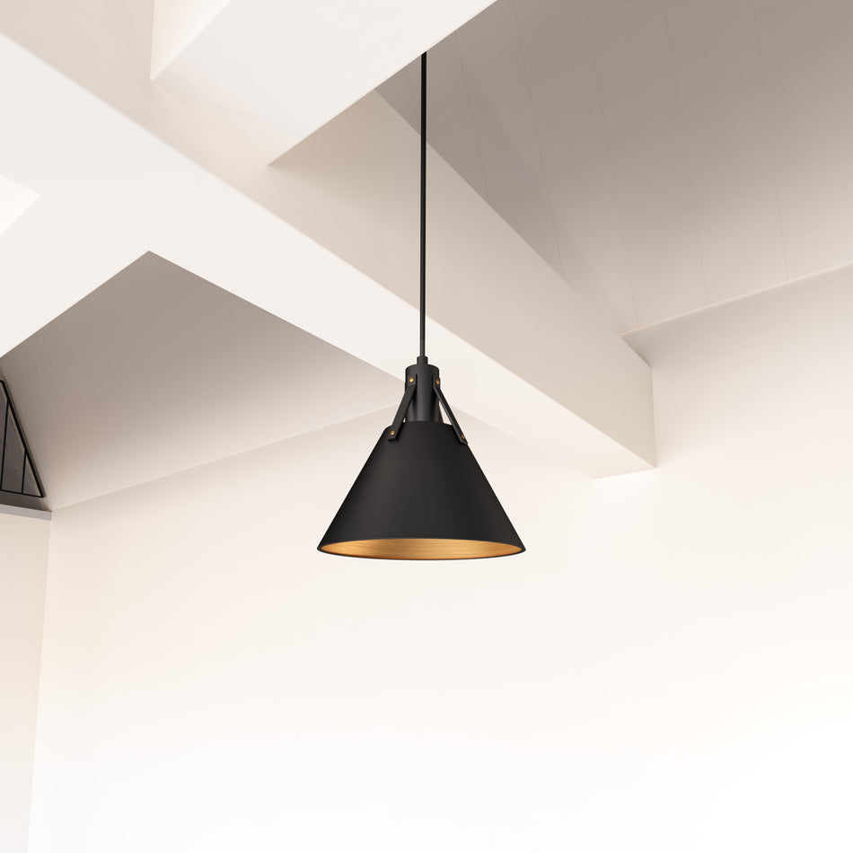 Archer 10-in Matte Black 1 Light Pendant by ALORA MOOD