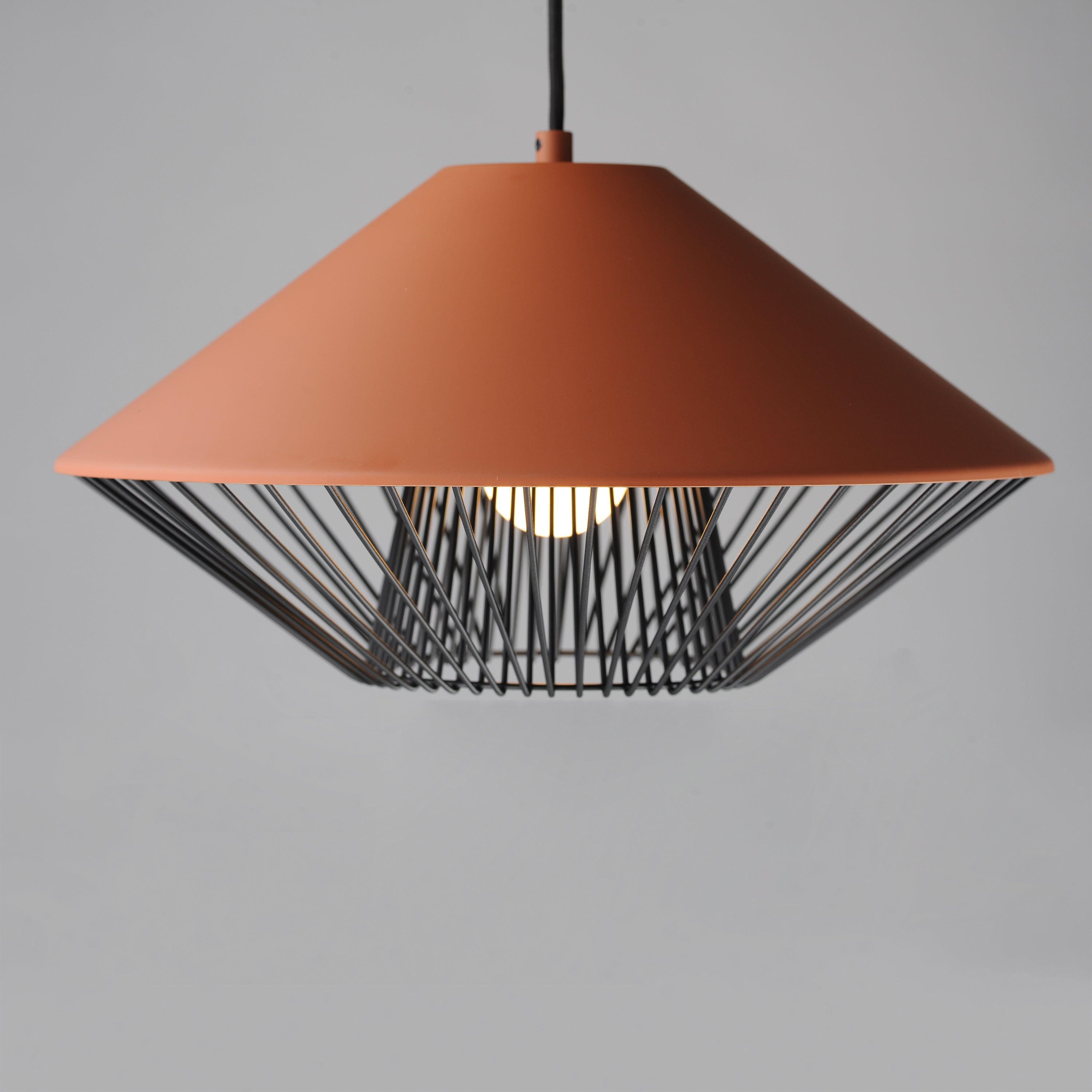 Phoenix-Single Pendant by ET2