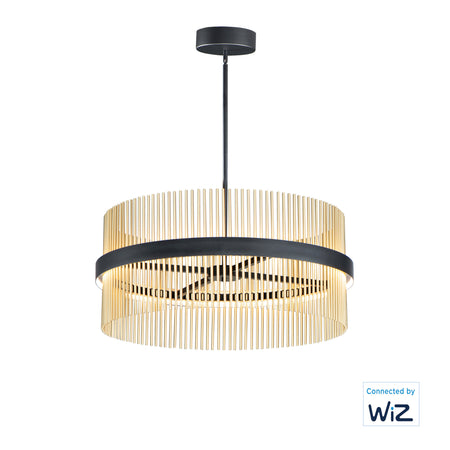 Chimes WiZ-Single Pendant by ET2