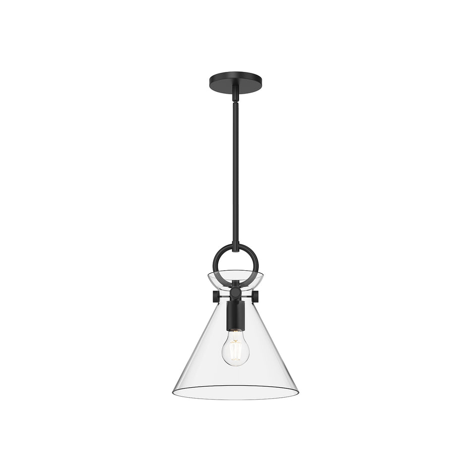 Emerson 11-in Matte Black/Clear Glass 1 Light Pendant