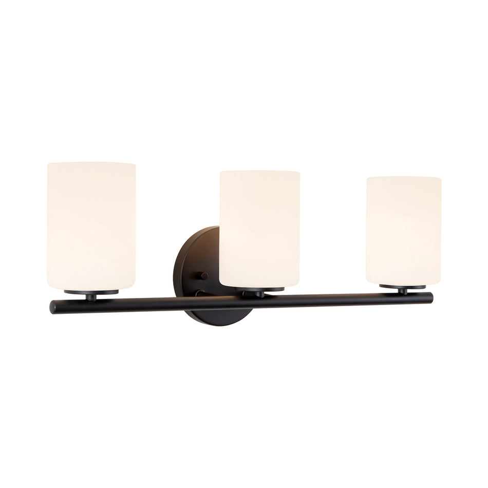 Ezra 22-in Black dimmable Bathroom Vanity Light