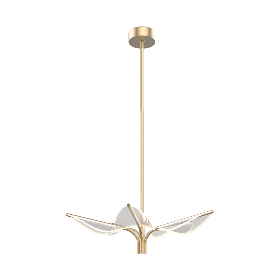 Flora 5 Head Natural Brass LED Pendant