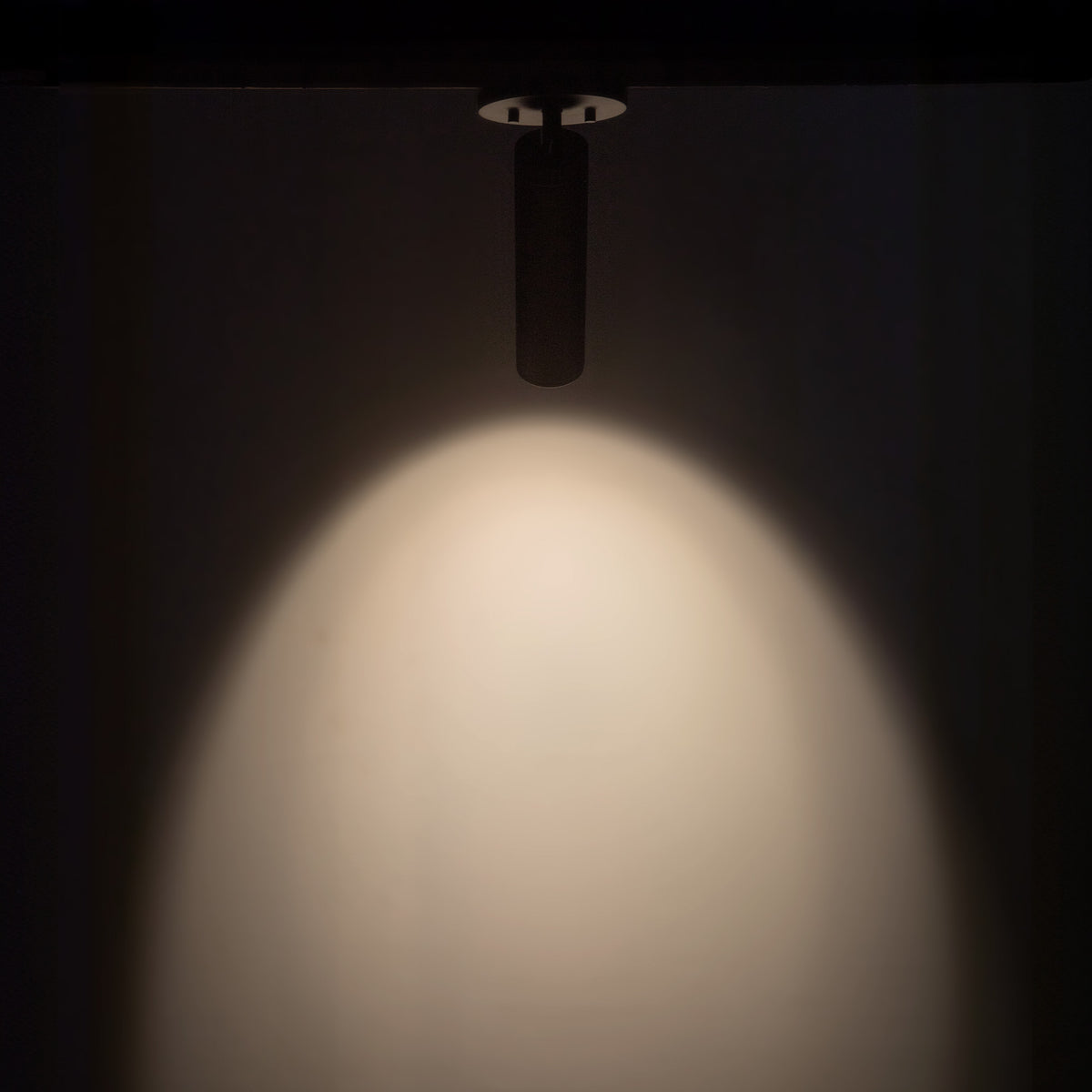 Lorna 9-in (2-in Dia.) 36 Degree Optic Black LED Adjustable Ceiling Mount by KUZCO