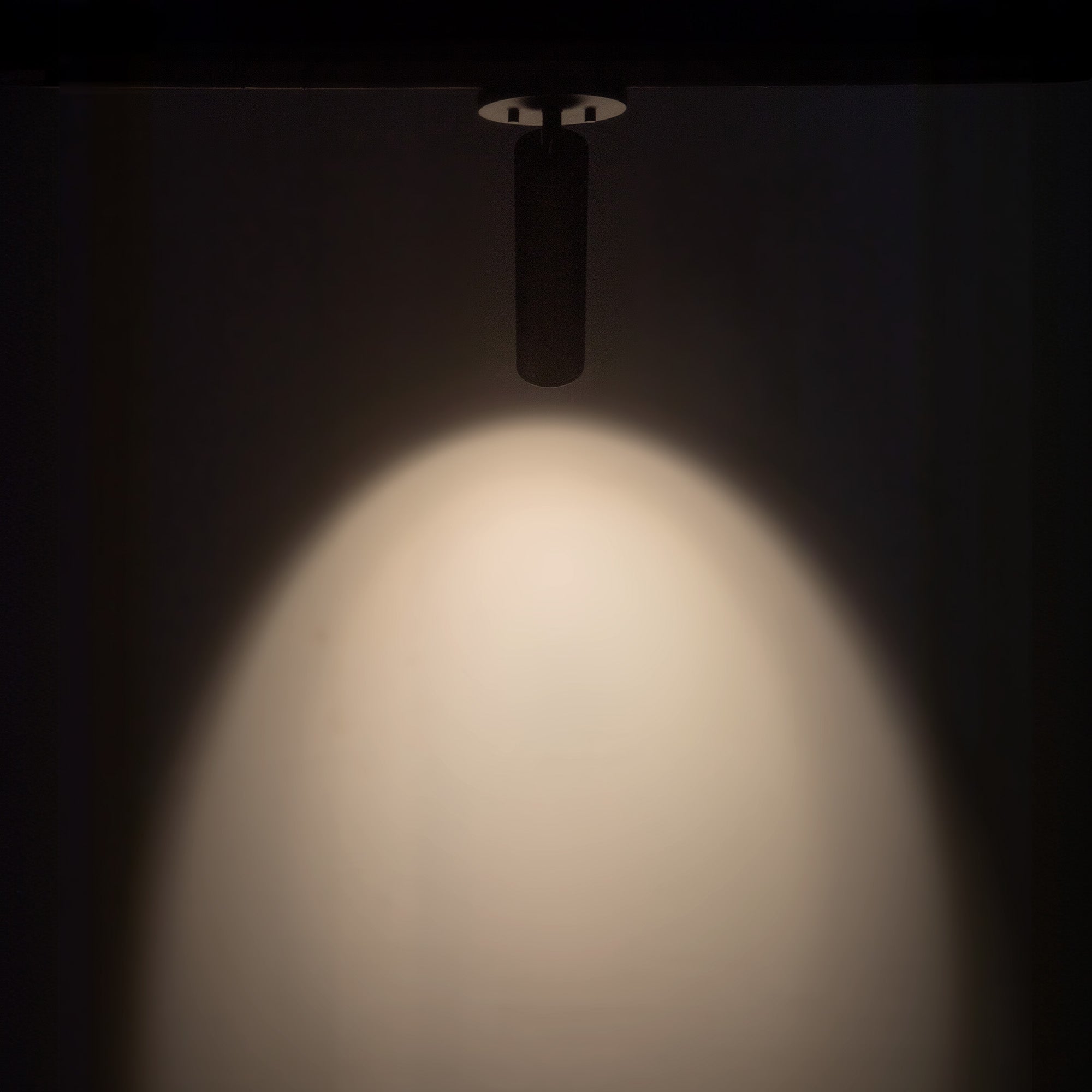 Lorna 9-in (2-in Dia.) 36 Degree Optic Black LED Adjustable Ceiling Mount by KUZCO