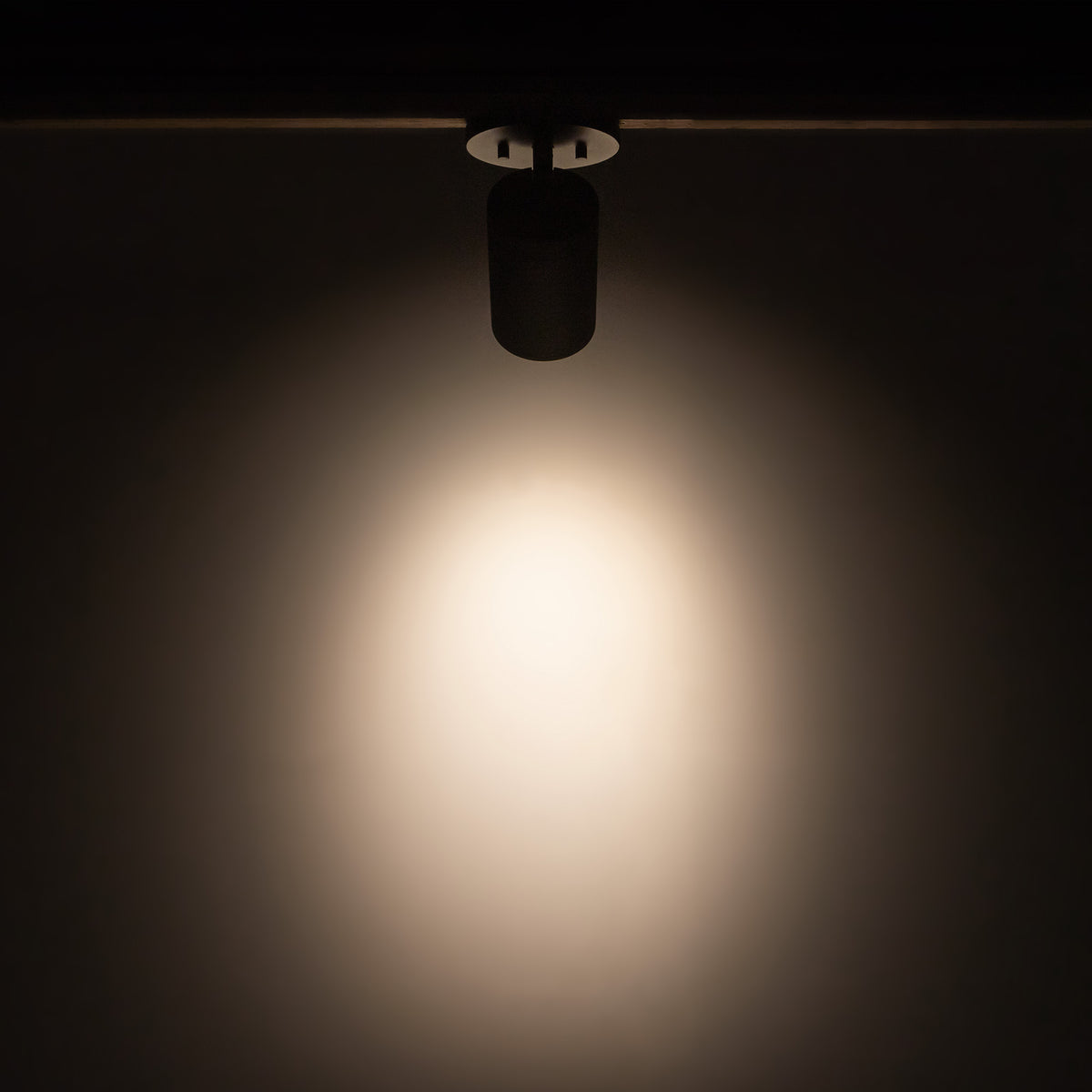 Lorna 6-in (3-in Dia.) 36 Degree Optic Black LED Adjustable Ceiling Mount by KUZCO
