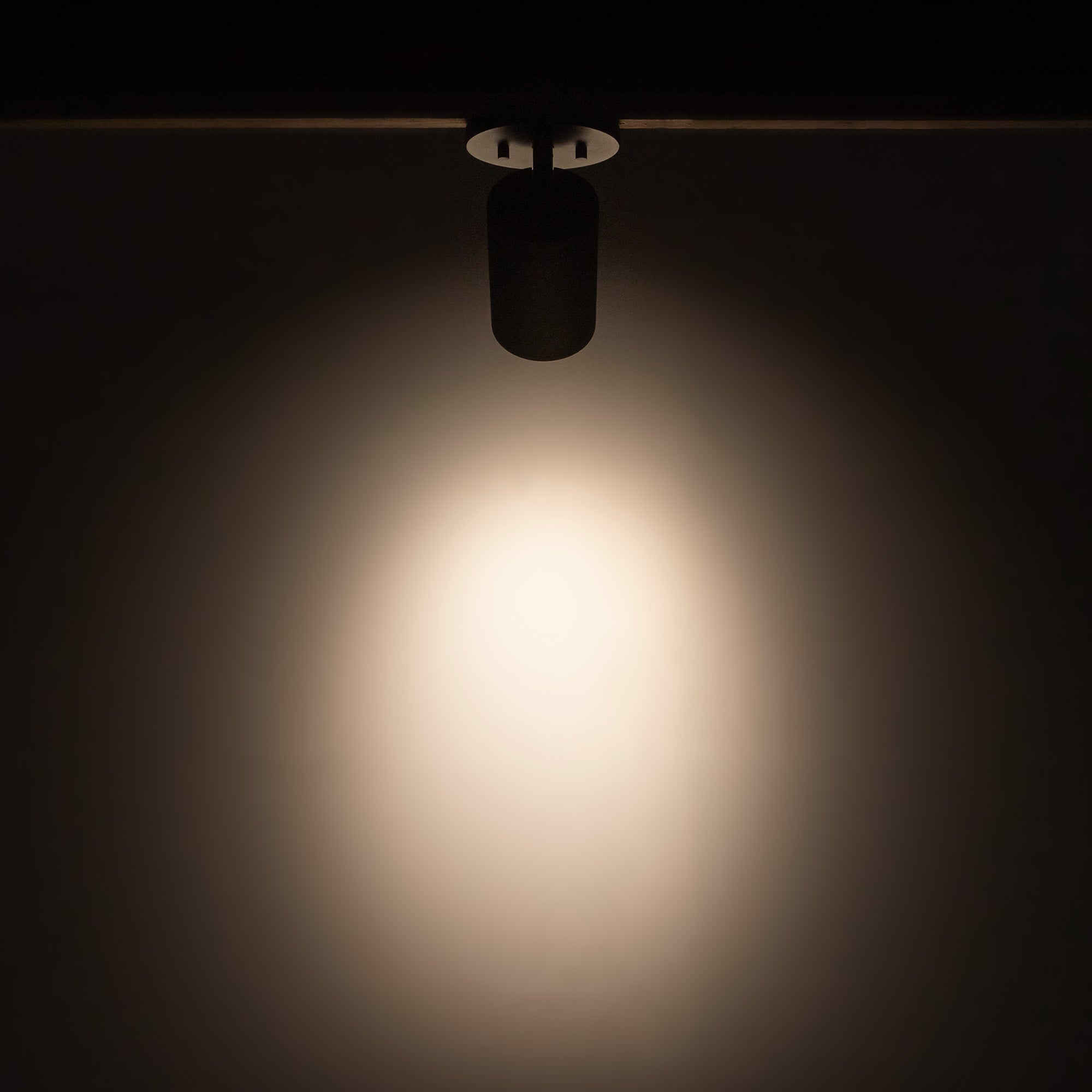 Lorna 6-in (3-in Dia.) 36 Degree Optic Black LED Adjustable Ceiling Mount by KUZCO