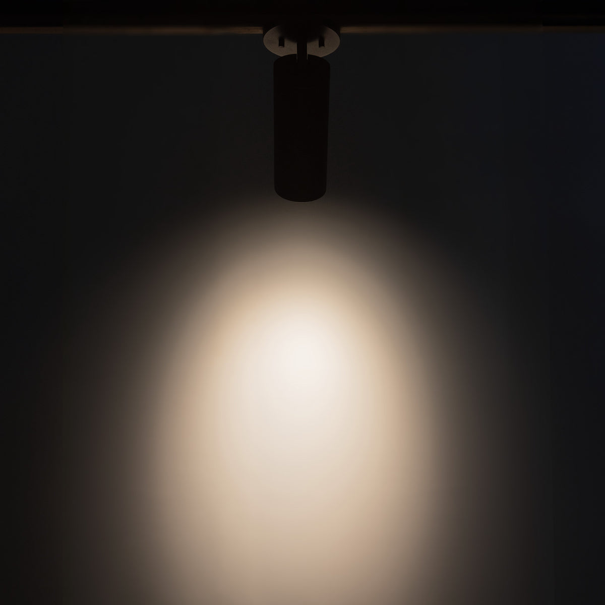 Lorna 9-in (3-in Dia.) 36 Degree Optic Black LED Adjustable Ceiling Mount by KUZCO