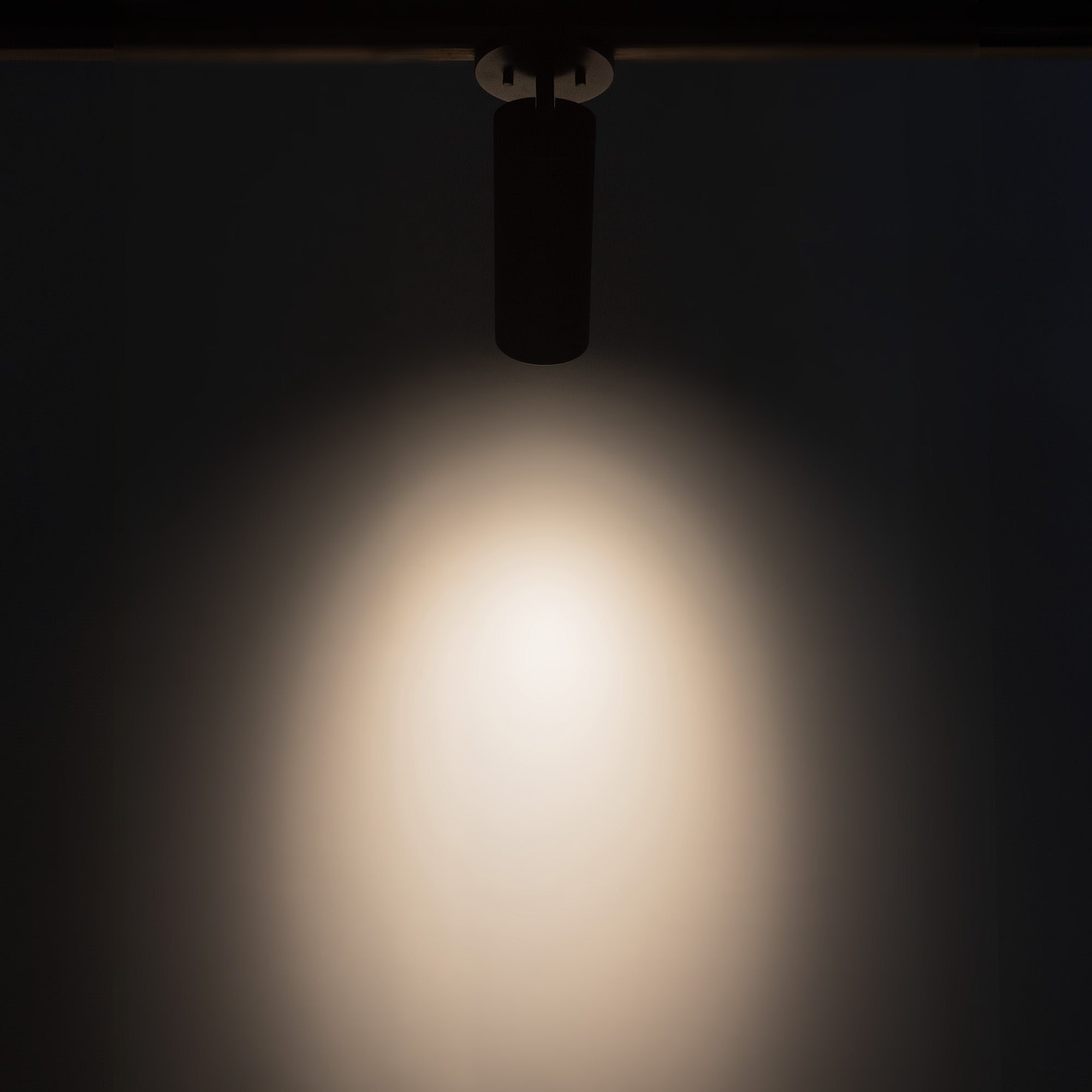 Lorna 9-in (3-in Dia.) 36 Degree Optic Black LED Adjustable Ceiling Mount by KUZCO