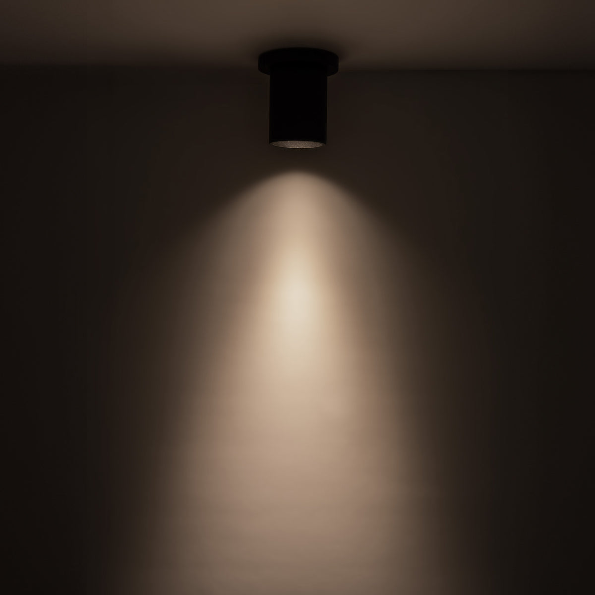 Lorna 4-in (3-in Dia.) 36 Degree Optic Black LED Ceiling Mount by KUZCO