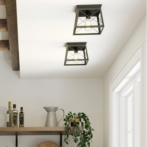 Briarwood Collection One-Light Flush Mount Ceiling Light in Graphite by Progress