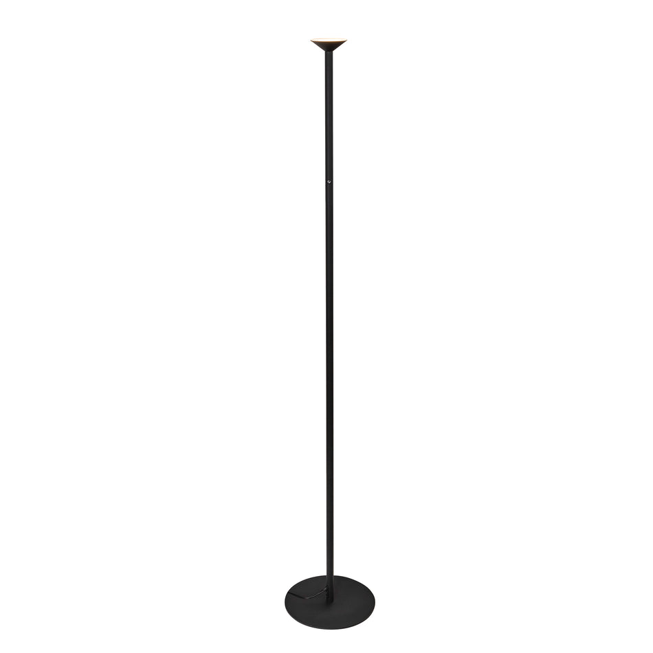 Valor 78-in Black LED Floor Lamp by KUZCO